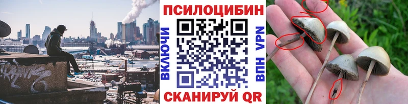 Псилоцибиновые грибы GOLDEN TEACHER  Свирск 